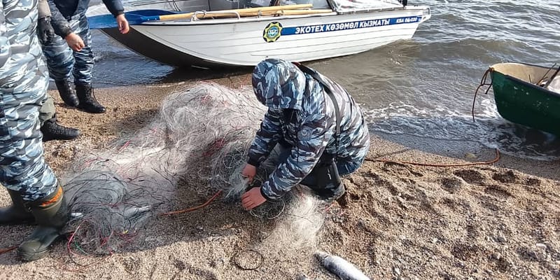 На Иссык-Куле инспекторы Минприроды изъяли рыболовные сети браконьеров изображение публикации