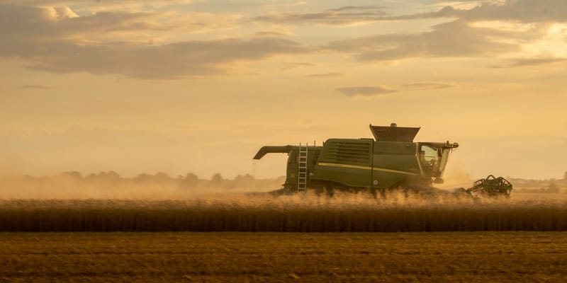 Рейтинг урожая 2025: в чем агросила регионов Кыргызстана изображение публикации