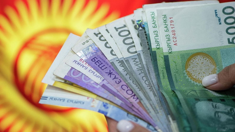 Уставный капитал «Госфинхолдинга» увеличат на 3.5 млрд сомов изображение публикации