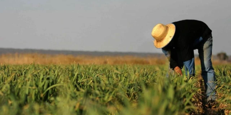 В Кыргызстане упростили выдачу госсубсидий фермерам изображение публикации