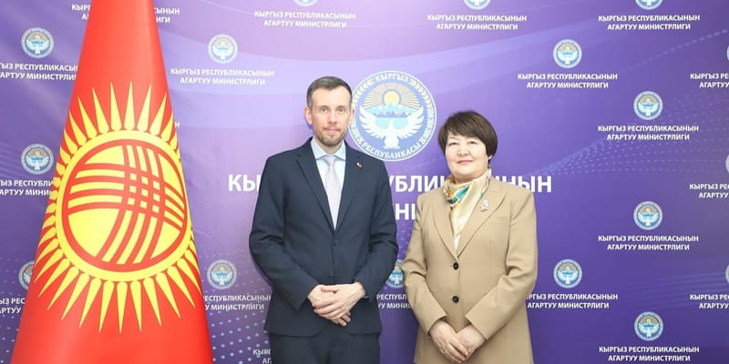 Британский английский для 12-летки в КР: Лондон оплатит лицензии на учебники изображение публикации