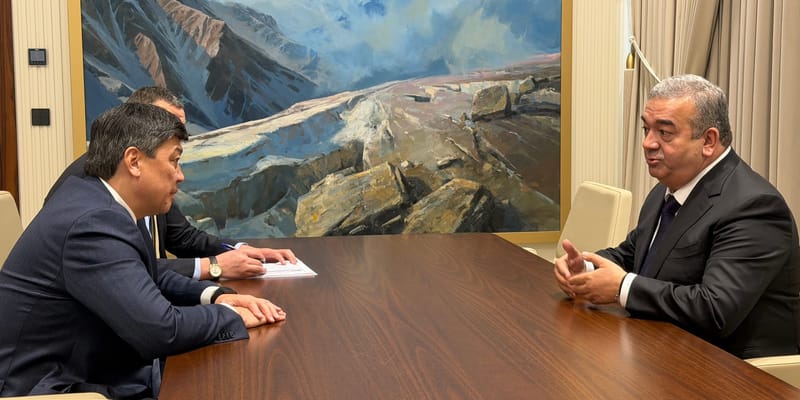 Быки, яки и хлопок: КР и Таджикистан создадут рабочую группу по проектам АПК изображение публикации