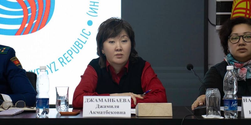 Ат-Башинский район КР просит статус приграничной зоны — омбудсмен изображение публикации