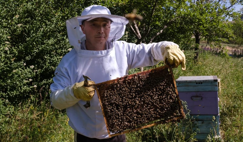 Фото: Международная организация по миграции (МОМ).