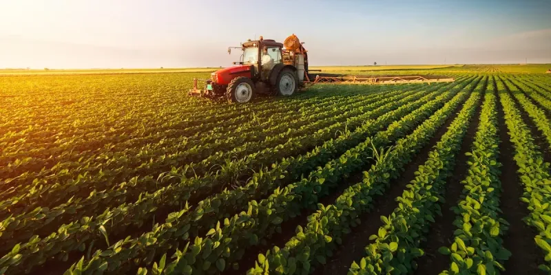 Кабмин выделил 2.4 млрд сомов на проект «ФСХ-14» изображение публикации