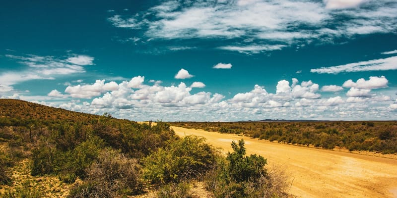 Бакыт Торобаев в Дубае напомнил миру о водном кризисе и позиции КР изображение публикации