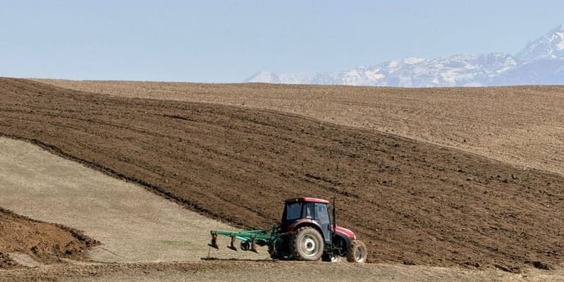 Сев пшеницы в Ноокате 2026: аграрии вышли в поле на 15 дней раньше изображение публикации