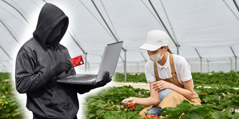 Злоумышленники придумывают и реализуют мошеннические схемы, обманывая доверчивых граждан.