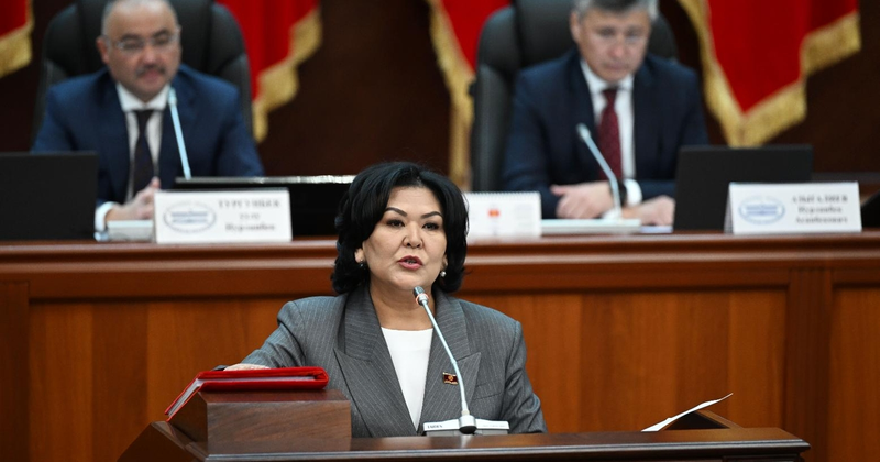 В ЖК продолжают сдавать мандаты: парламент покинула Гулсункан Жунушалиева изображение публикации