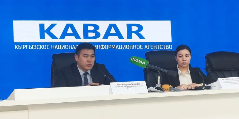 ЕЭК одобрила для Кыргызстана пакет тарифных льгот и отсрочек изображение публикации