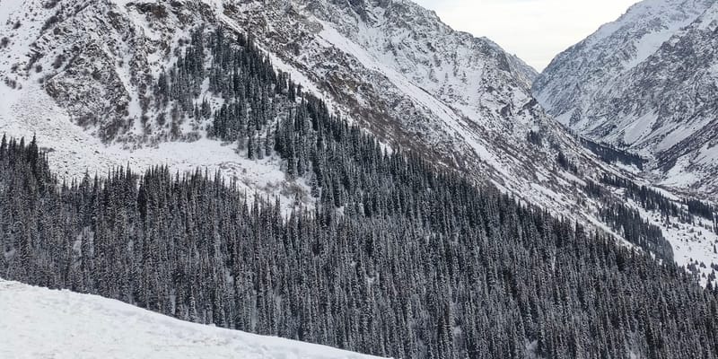 Доходы от экотуризма в Кыргызстане удвоились, превысив 37 млн сомов без учета «Ала-Арчи» изображение публикации