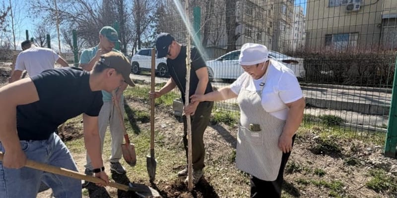 Мэрия Бишкека провела акцию по озеленению в учебных заведениях изображение публикации