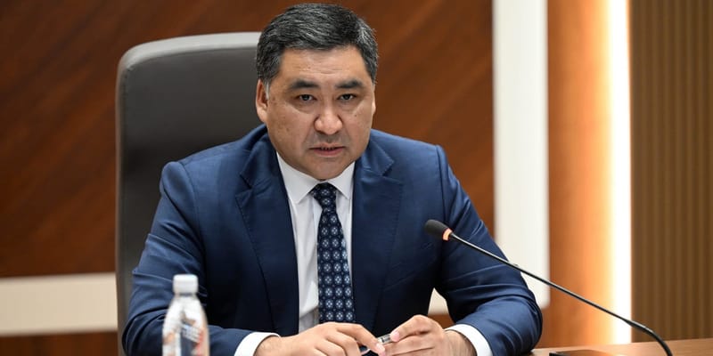 Заседание совета по развитию экспорта КР под руководством Данияра Амангельдиева.