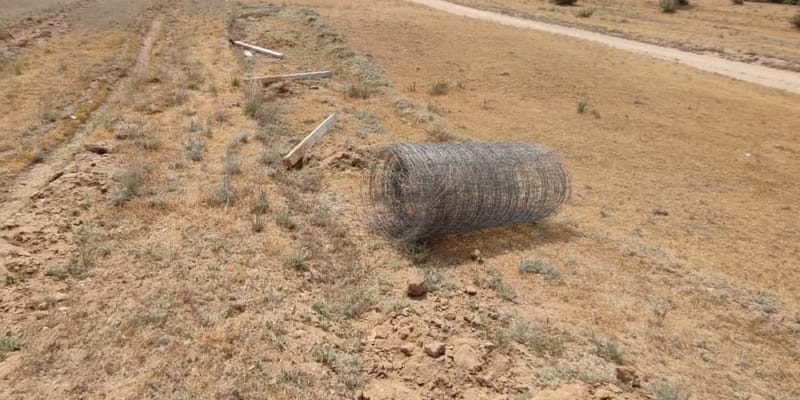 Сельскохозяйственные угодья в Сокулукском районе Чуйской области.