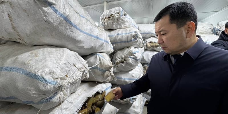 В Араване открыли логистический центр на 600 тонн овощей и фруктов изображение публикации