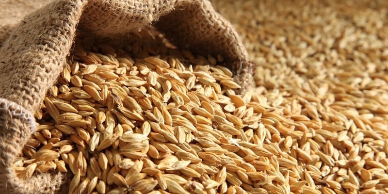 Запрет на ввоз российского зерна спровоцировал рост цен в Казахстане изображение публикации