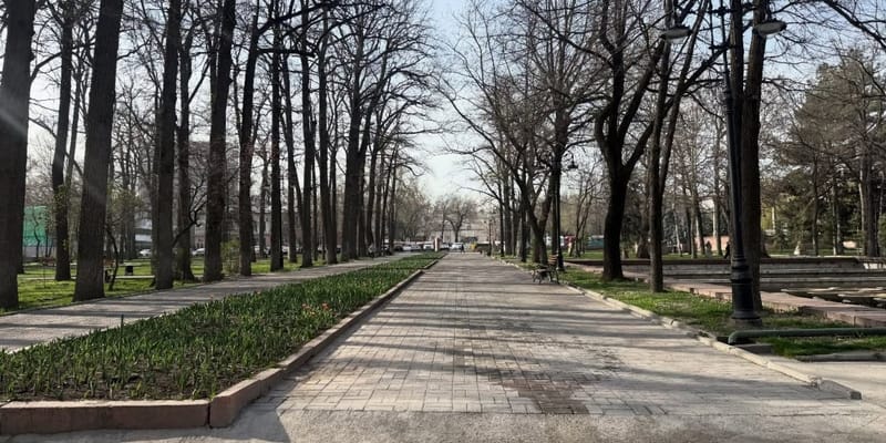 Власти Бишкека в апреле начнут реконструкцию Дубового парка изображение публикации