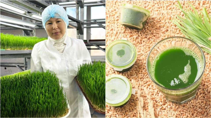 Мунара Нуралиева: производство сока из пшеницы в Бишкеке | Ишкер Media