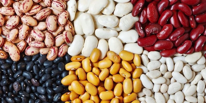 В Турции обсудили прямые закупки кыргызстанской фасоли у производителей изображение публикации