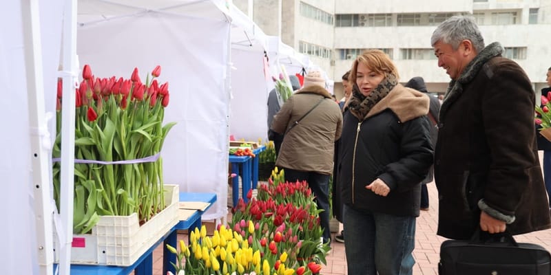 Тюльпаны от 75 сомов: в Бишкеке стартовал фестиваль цветов изображение публикации