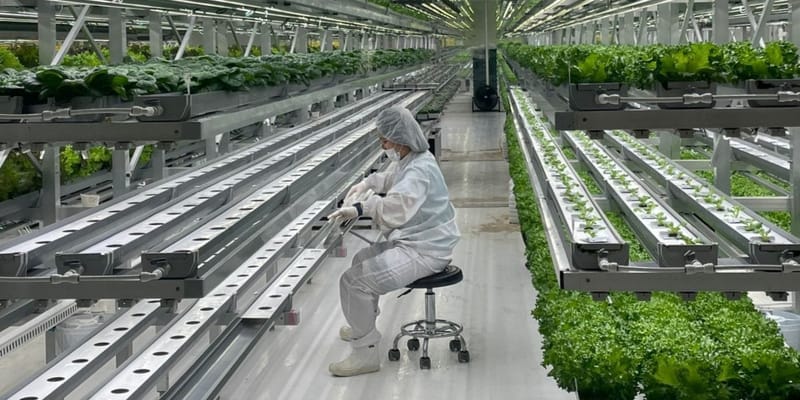 Делегация Минсельхоза Кыргызстана посетила Корею для изучения технологий «умных ферм» изображение публикации