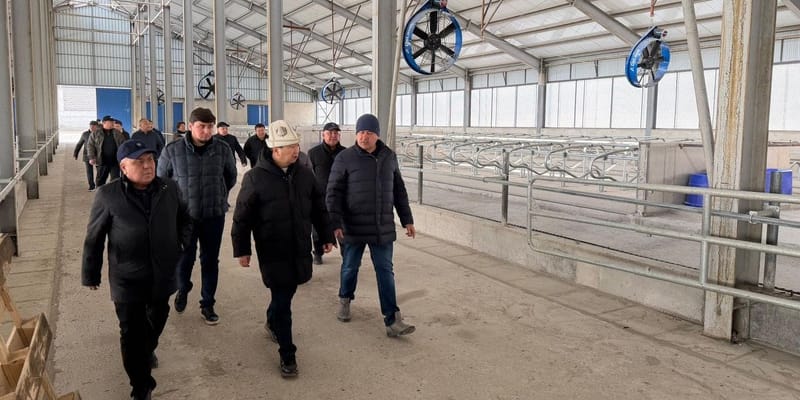 Технологии DeLaval внедряют на новой молочной ферме в Сокулуке изображение публикации