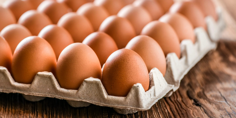 Яйца в КР резко подорожали: Госантимонополия предостерегла птицеводов от сговора изображение публикации