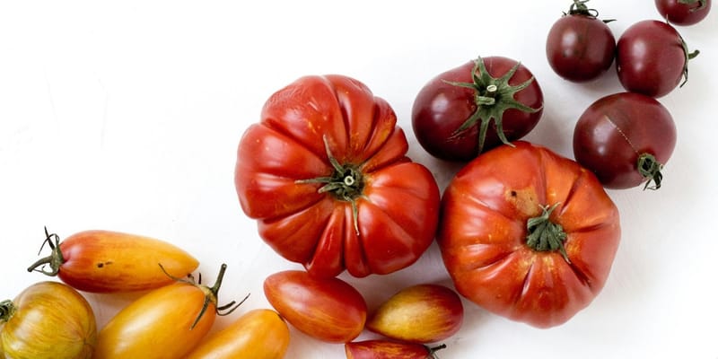 Парадокс урожая: агропром КР прибавил 2.2%, но чеки в магазинах продолжают расти — причины изображение публикации