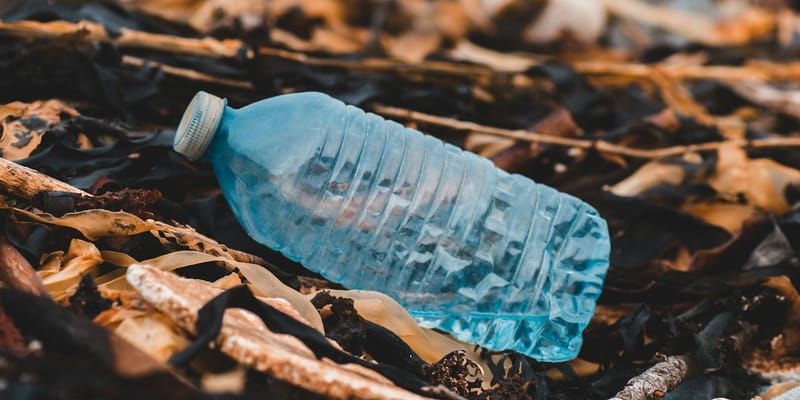 Бонусы за бутылки и ESG-статусы: ритейл Кыргызстана готовится отказаться от пластика изображение публикации