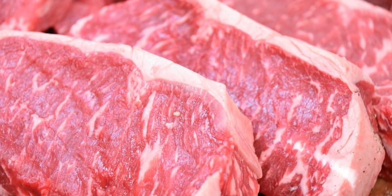 Мясной кластер за 1.5 млрд сомов: на севере Кыргызстана запускают производство говядины изображение публикации