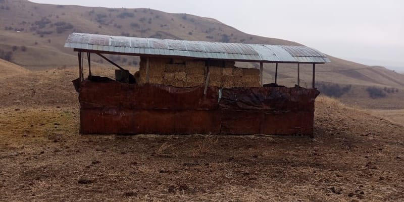 Двух жителей Узгена наказали за захват пастбища и порчу почвы изображение публикации