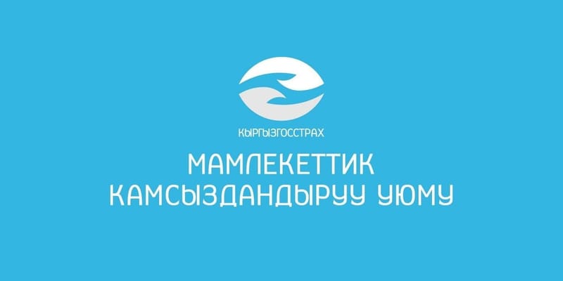 Садыр Жапаров переподчинил Госстраховую организацию Администрации президента КР изображение публикации