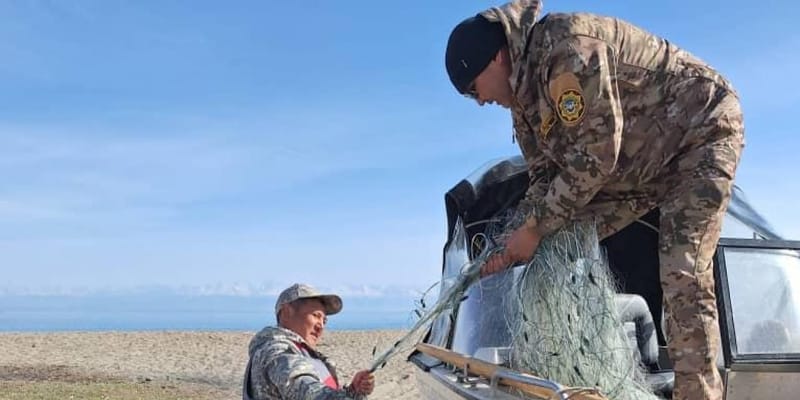 Экотехнадзор изъял 200 метров незаконных сетей из акватории Иссык-Куля изображение публикации