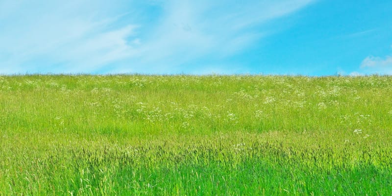 В Кыргызстане 400 тысяч гектаров пастбищ перевели в режим восстановления изображение публикации