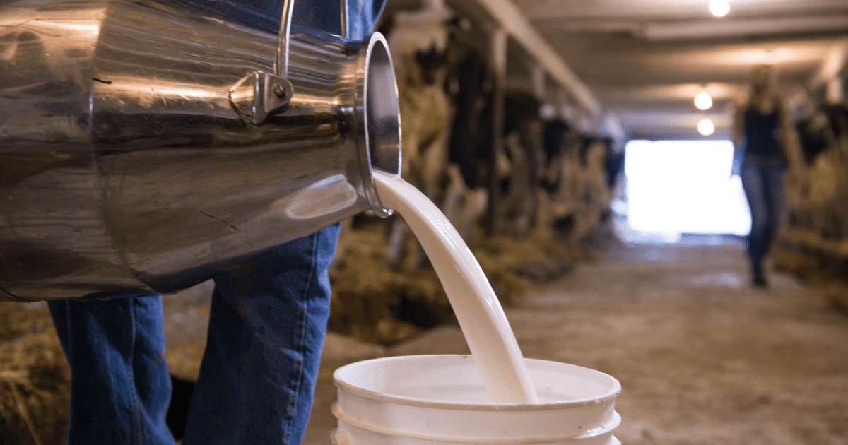 Профильный комитет ЖК одобрил законопроект о регулировании цен на молоко изображение публикации