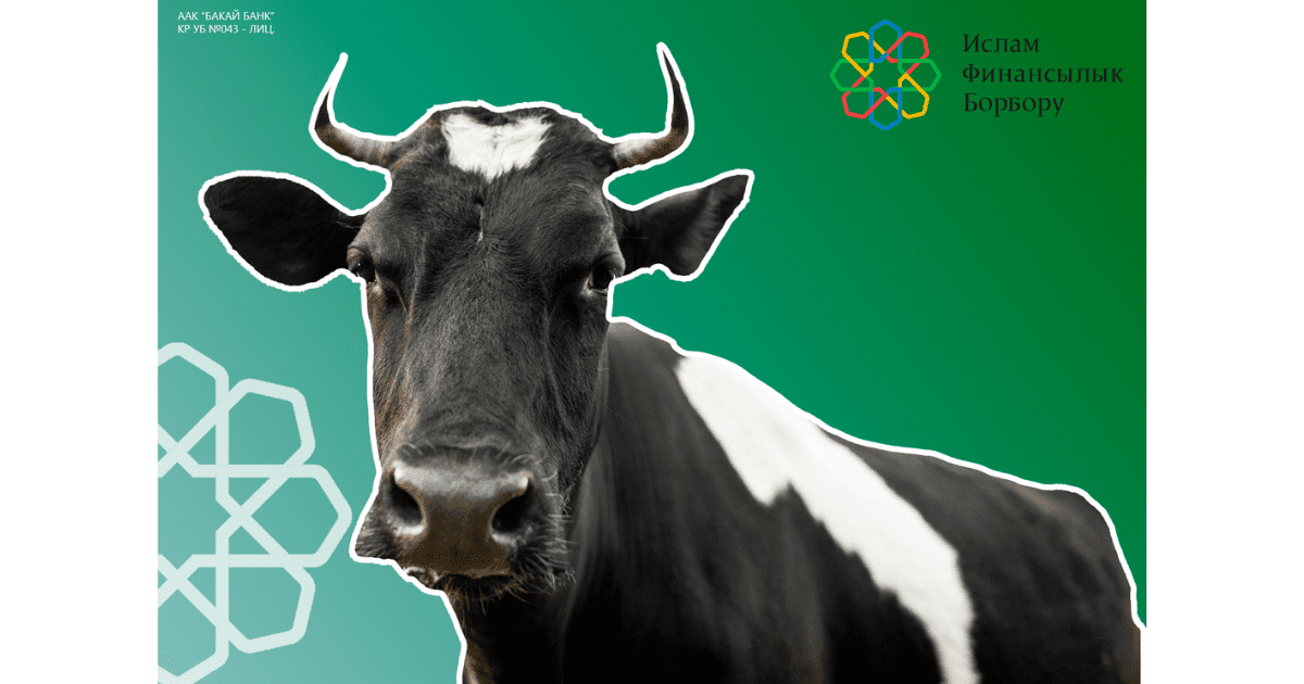 Получите финансирование сельского хозяйства по исламским принципам