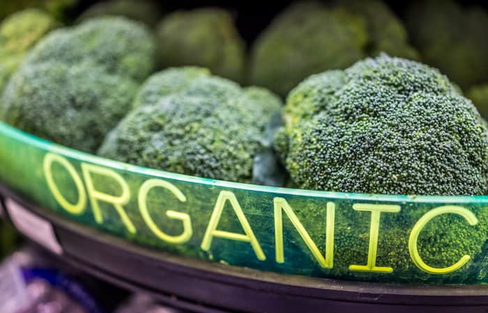 Страны ЕАЭС сформируют единый рынок органической продукции