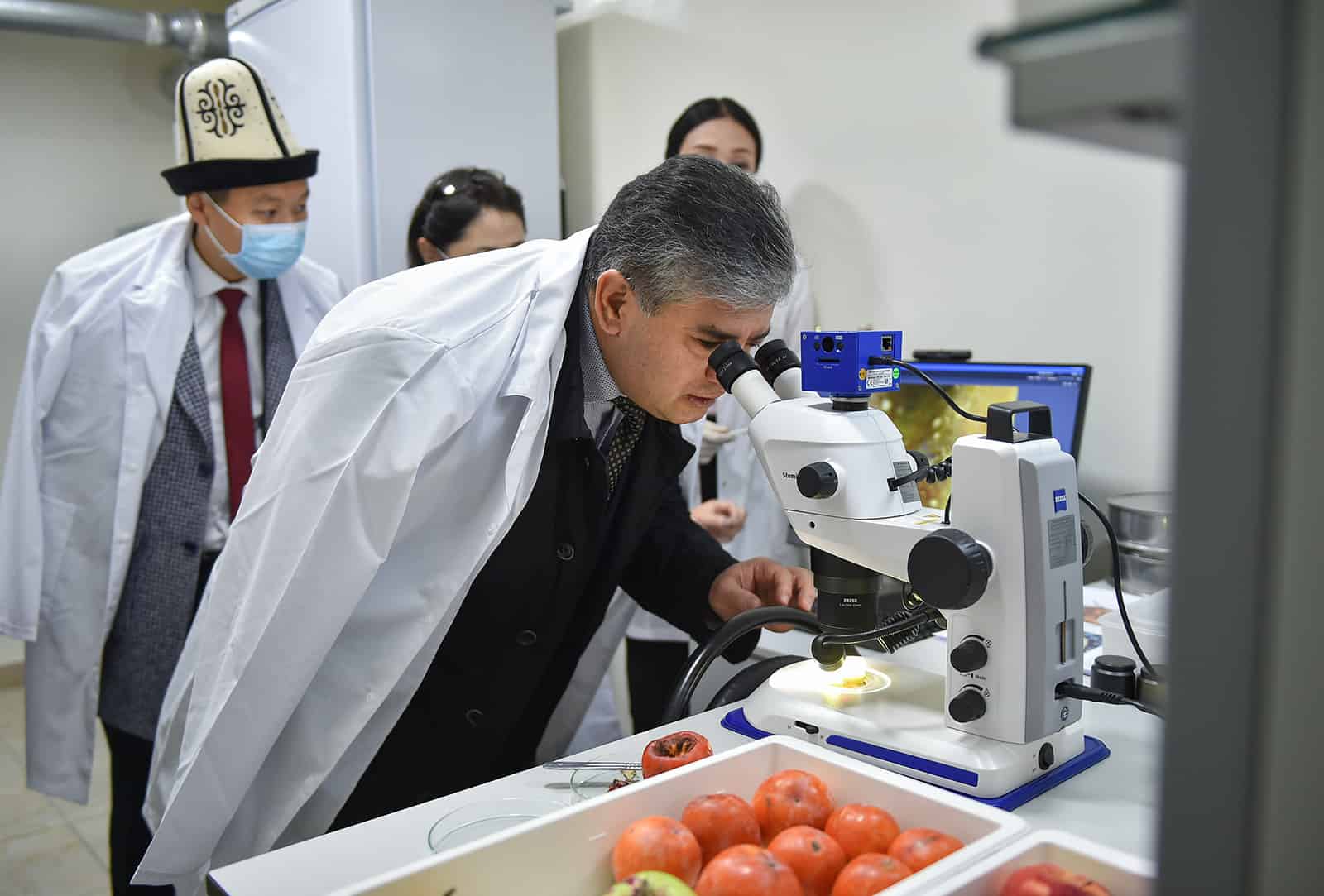 Развитие лабораторий позволит беспрепятственно экспортировать сельхозпродукцию — вице-премьер