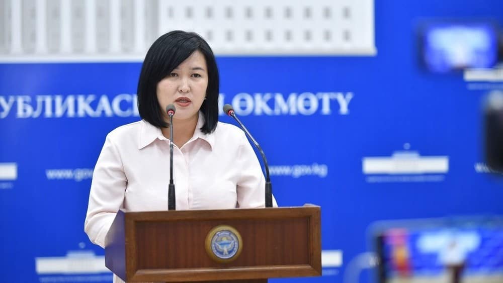 Парламент утвердил Ализу Солтонбекову на должность министра труда и соцразвития