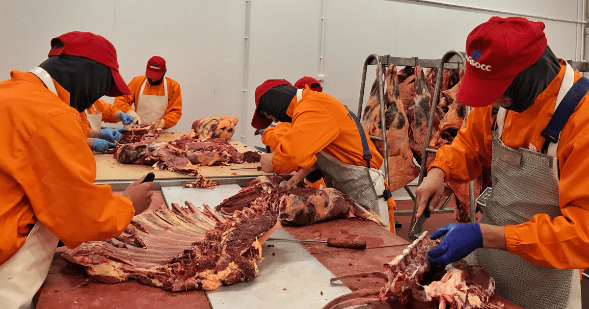 РКФР выдал $1.5 млн в кредит на строительство цеха мясопереработки в Чуйской области