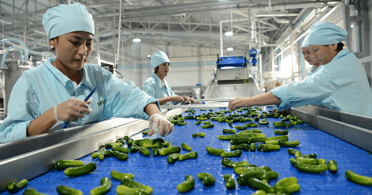Кыргызстан разработает 18 межгосударственных стандартов безопасности пищевой продукции