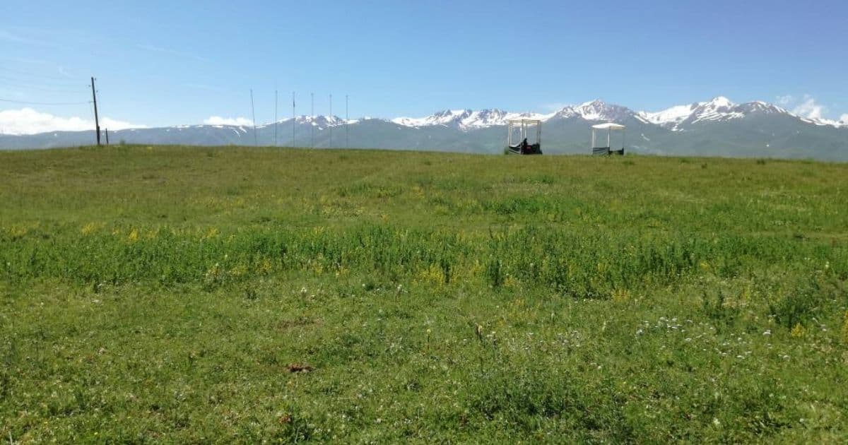 Сарпашев вернул государству более 500 га земли после возбуждения уголовного дела
