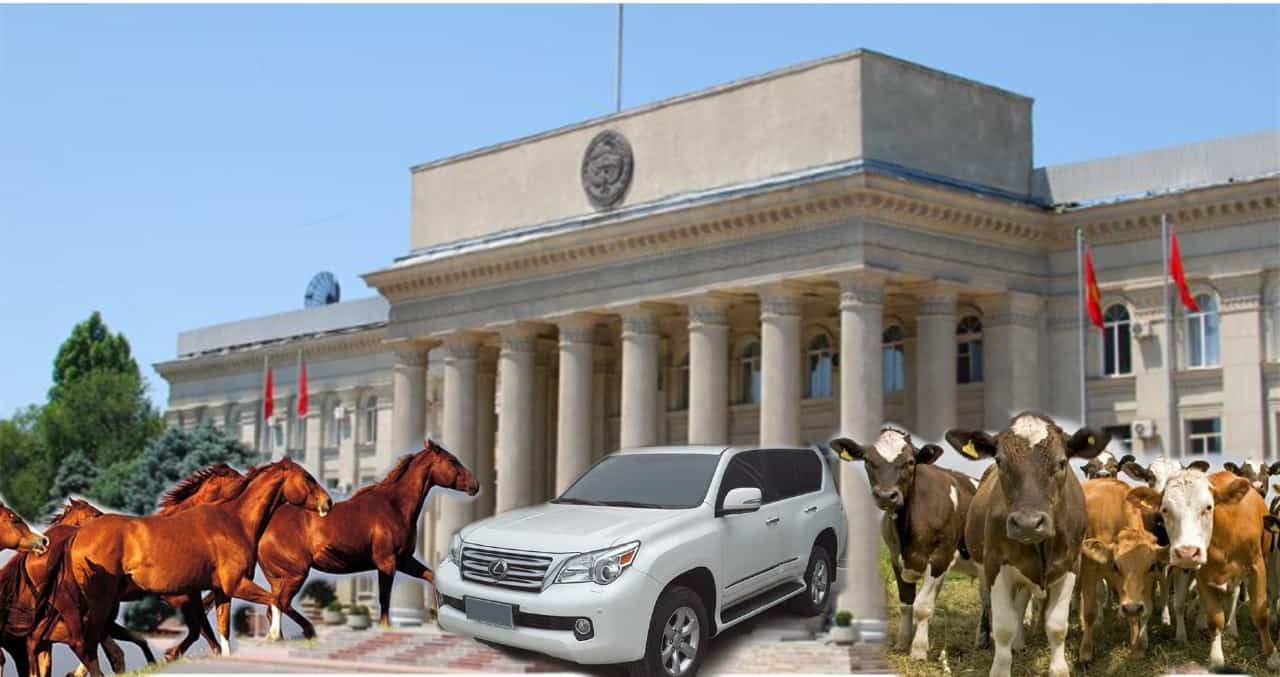 Топ-3 богатых министра. Чем владеют члены правительства и сколько зарабатывают