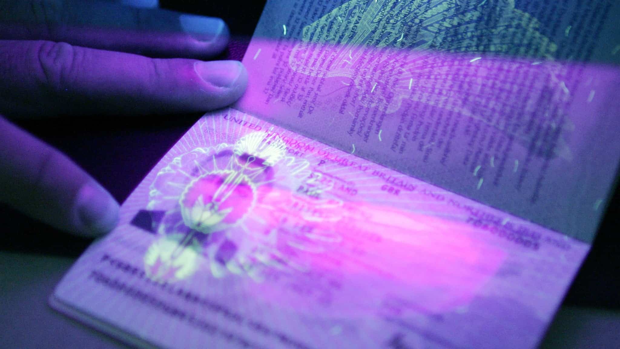 Правительству рекомендовали внедрить электронные паспорта и водительские права до 1 мая