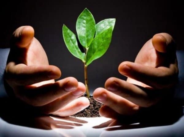 «Гарантийный фонд» выдал гарантии на 278 млн сомов