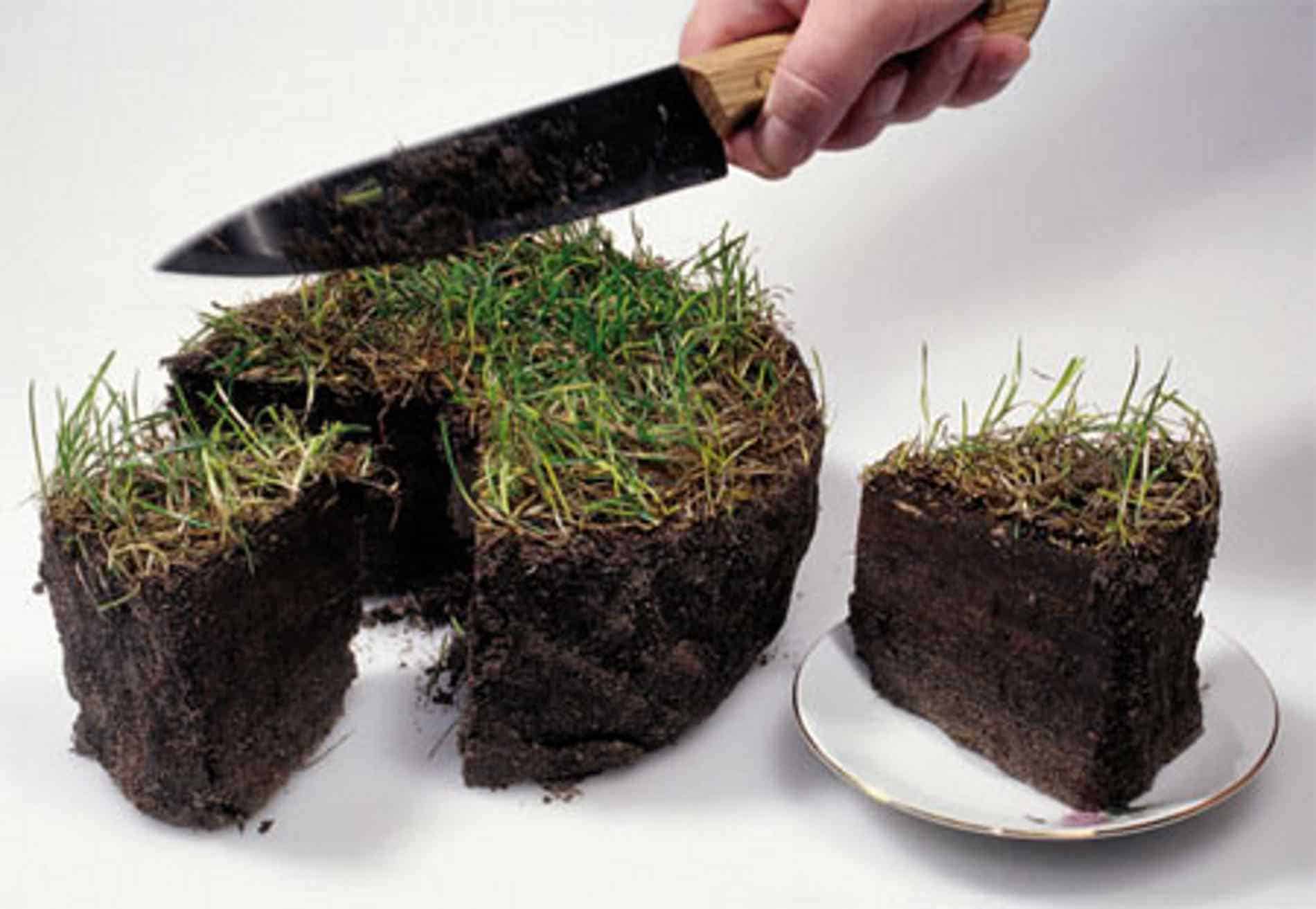 Муниципальных чиновников подозревают в незаконной выдаче земельных участков в Бишкеке