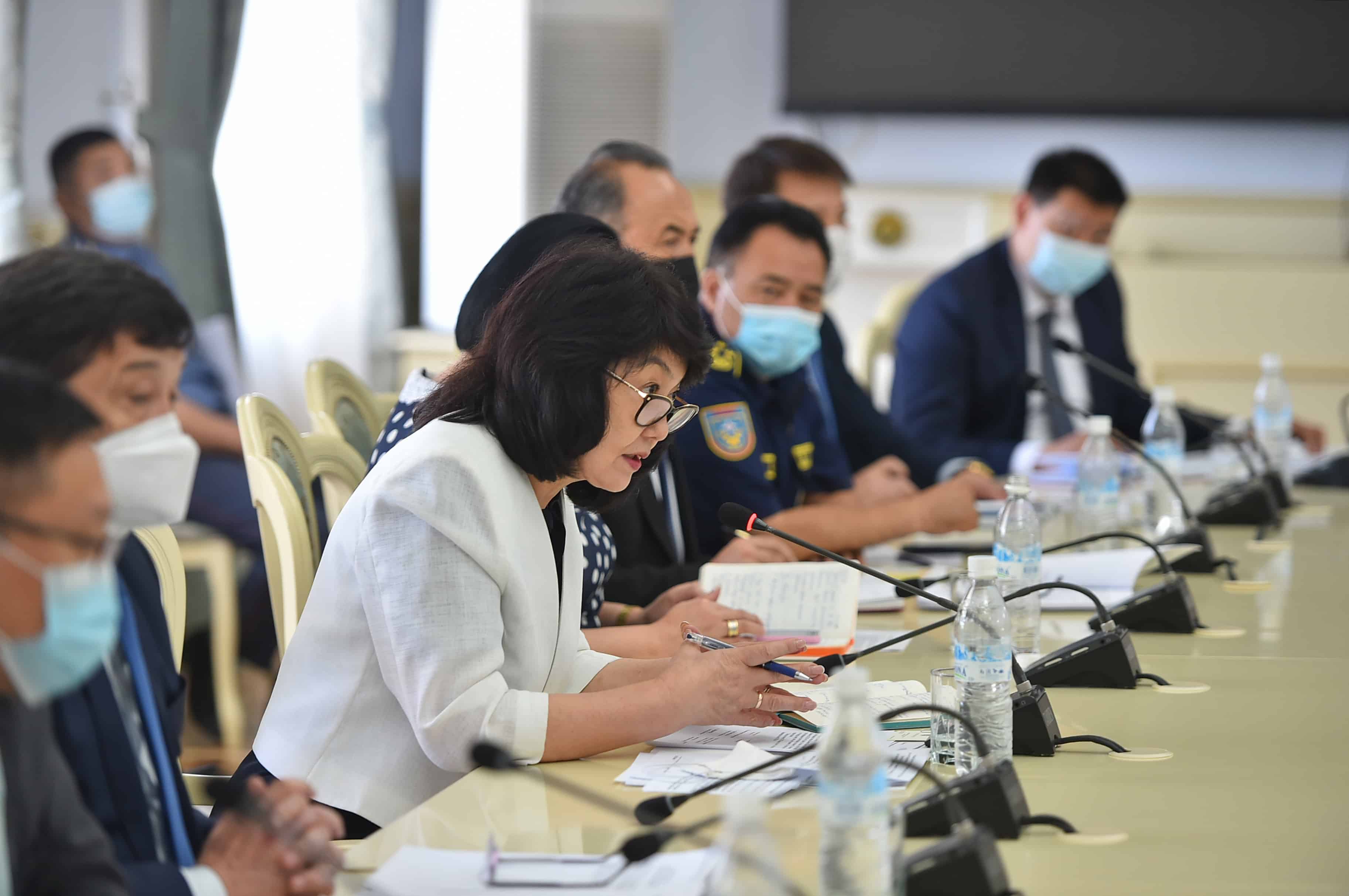 Замглавы кабмина встретилась с донорами — рассказала о нуждах здравоохранения КР