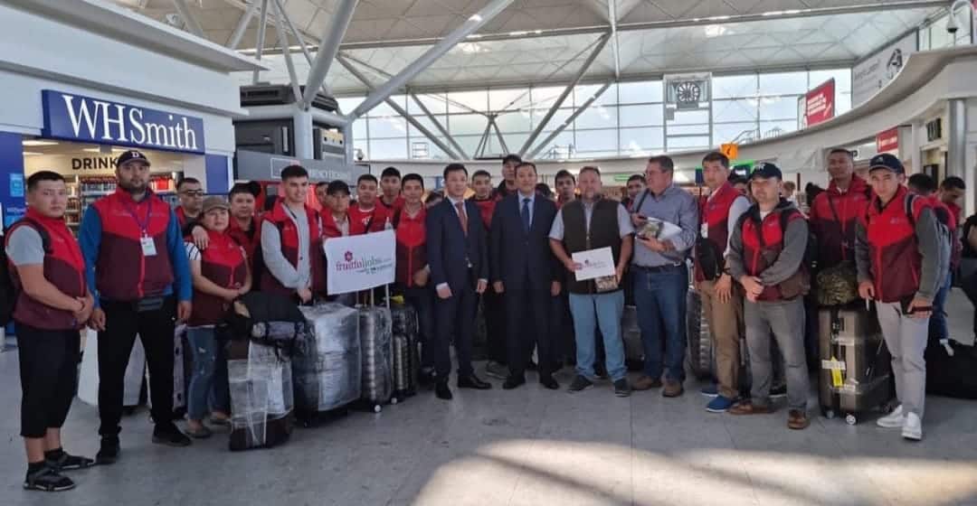 Первая группа кыргызстанцев прибыла в Великобританию на сельхозработы