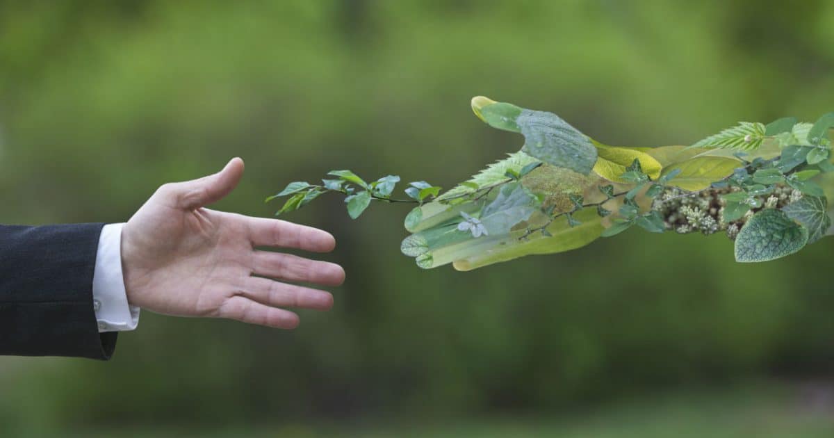 Компании готовы к выпуску «зеленых» облигаций, но пока не соответствуют критериям — Медет Назаралиев