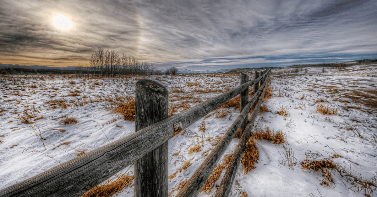 Генпрокуратура нашла в Кара-Балте должника-арендатора земли и заставила расплатиться